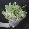 Сирень "Мадам Флорент Степман" 50см