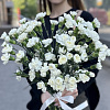 Гвоздика Кустовая Вайт Барбара "Флорекиса" 60см