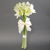 Амариллис "Вайт" 60см